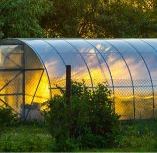 6 Steps to Build Garden Greenhouse on a Budget