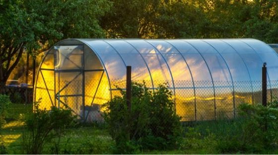 6 Steps to Build Garden Greenhouse on a Budget