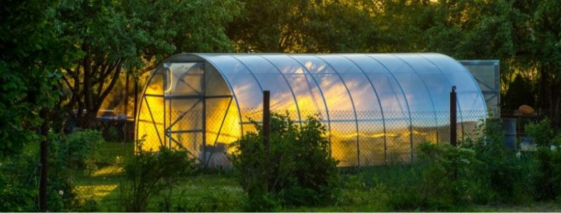 6 Steps to Build Garden Greenhouse on a Budget