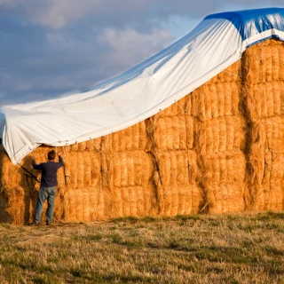 Custom Tarps: The Outdoor Investment for Maximum Returns