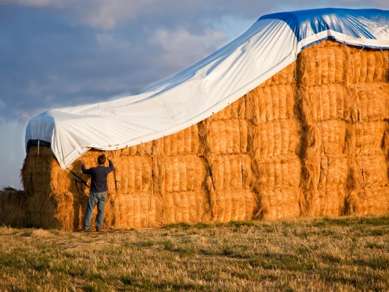 Custom Tarps: The Outdoor Investment for Maximum Returns