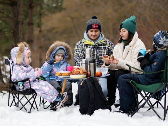 A Detailed 7-Step Guide to Your Dream Winter Picnic