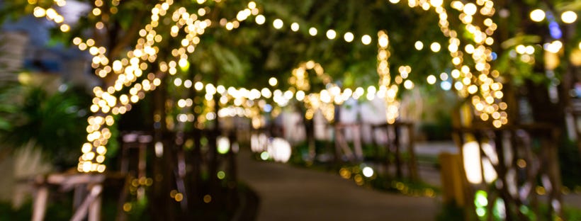 Decorative string lights on trees