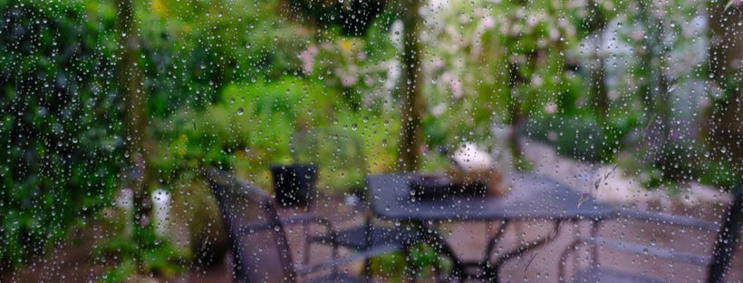 Rain drops on glass