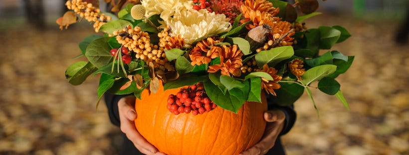 Beautiful bouquet in a pumpkin